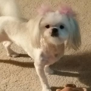 Meet your Posher, Leeann